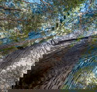 Wallumatta Nature Reserve - Getaway Accommodation