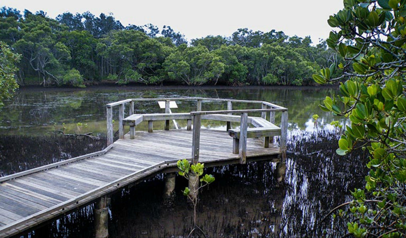 Tweed Heads South NSW Getaway Accommodation