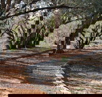 Warrego Floodplain walking track - Getaway Accommodation