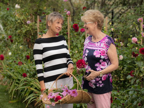 White Cottage - Getaway Accommodation 0