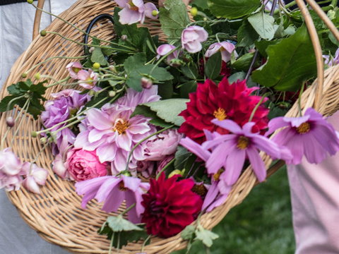 White Cottage - Getaway Accommodation 2