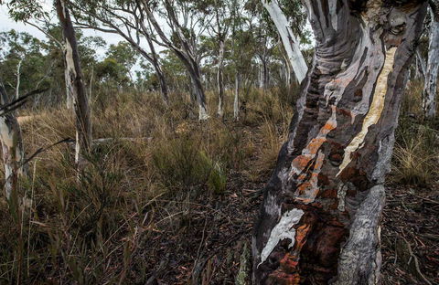 Yanununbeyan State Conservation Area - Getaway Accommodation 0