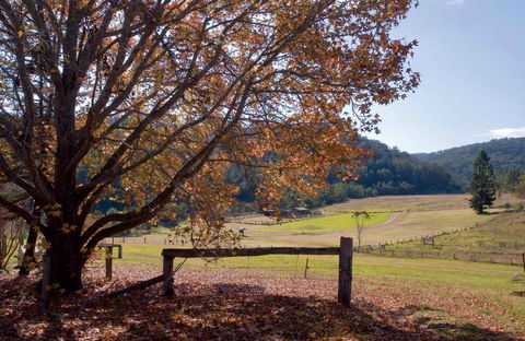 Yengo National Park - Getaway Accommodation 1