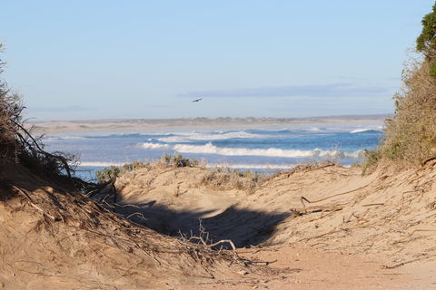 Chadinga Conservation Park - Getaway Accommodation 1