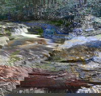 Liffey Falls Reserve - Getaway Accommodation