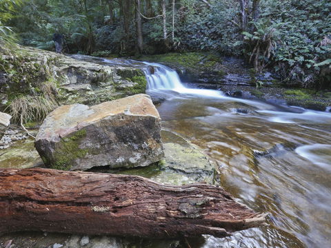 Liffey Falls Reserve - Getaway Accommodation 0