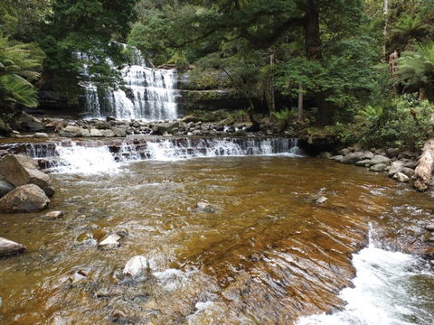 Liffey Falls Reserve - Getaway Accommodation 1