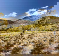 Little Mountain Walking Track - Getaway Accommodation