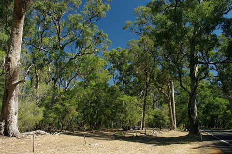 Maidens Tuart Forest - Getaway Accommodation 0