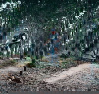 Nerang Mountain Bike Trails - Getaway Accommodation