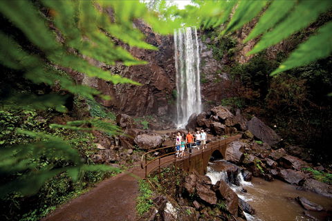 Queen Mary Falls Circuit, Main Range National Park - Getaway Accommodation 0