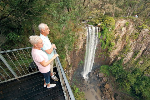 Queen Mary Falls Circuit, Main Range National Park - Getaway Accommodation 1