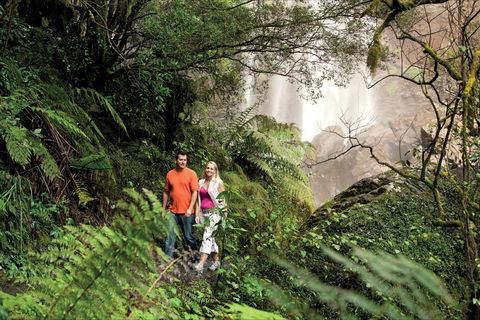 Queen Mary Falls Circuit, Main Range National Park - Getaway Accommodation 2