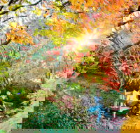 The Blue Mountains Botanic Garden Mount Tomah - Getaway Accommodation