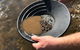 Tuena Panning For Gold - thumb 0