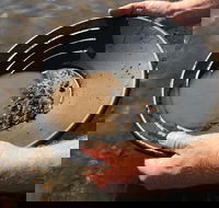 Tuena Panning for Gold - Getaway Accommodation