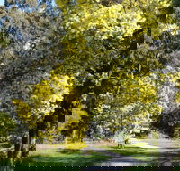 Wattle Park - Getaway Accommodation