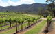 Wollombi - thumb 1