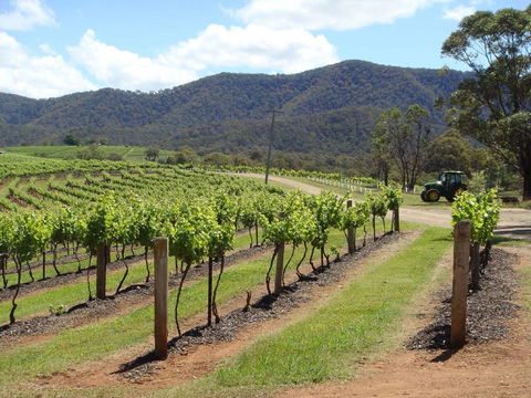 Wollombi - Getaway Accommodation 1
