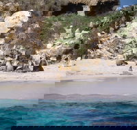 Australian Sea Lions - Getaway Accommodation