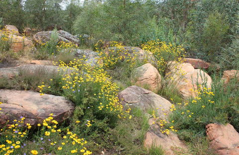 Ben Hall's Cave Walking Track - Getaway Accommodation 0