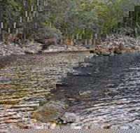 Lake Rowallan - Getaway Accommodation