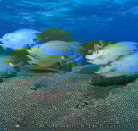 Lodestone Reef - Getaway Accommodation