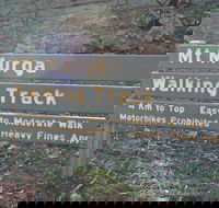Mount Murga Walking Track - Getaway Accommodation