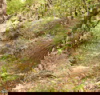 Mount Carnarvon Walking Track - Getaway Accommodation