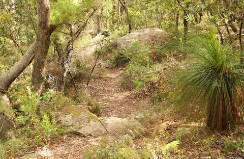 Mount Carnarvon Walking Track - Getaway Accommodation 0