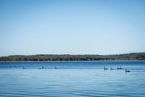 Queens Lake Picnic Area - Getaway Accommodation 1