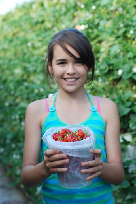 Ricardoes Tomatoes And Strawberries Farm, Port Macquarie - Getaway Accommodation 0