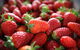 Ricardoes Tomatoes And Strawberries Farm, Port Macquarie - thumb 1