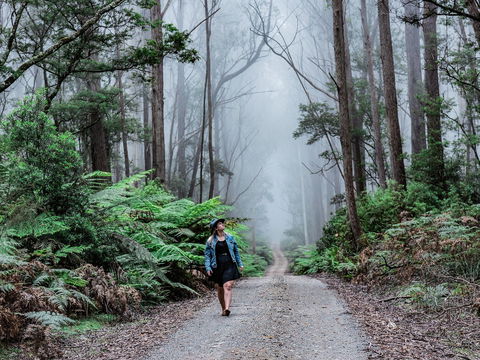 The Corn Trail Walking Track - Getaway Accommodation 0
