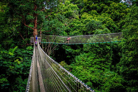 Thunderbird Park ® - Tamborine Mountain, Gold Coast Region - Getaway Accommodation 0