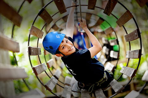 Thunderbird Park ® - Tamborine Mountain, Gold Coast Region - Getaway Accommodation 1