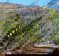 Weddin Gap to Black Spring Loop Trail - Getaway Accommodation
