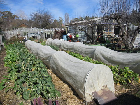 Wynlen House: Tour A Unique Urban Regenerative Farm And Market Garden - Getaway Accommodation 0