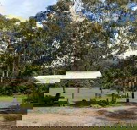 Back Creek picnic area - Getaway Accommodation
