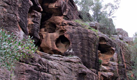 Bertha's Gully Walking Track - Getaway Accommodation 0