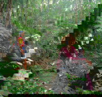 Binna Burra Lamington National Park - Getaway Accommodation