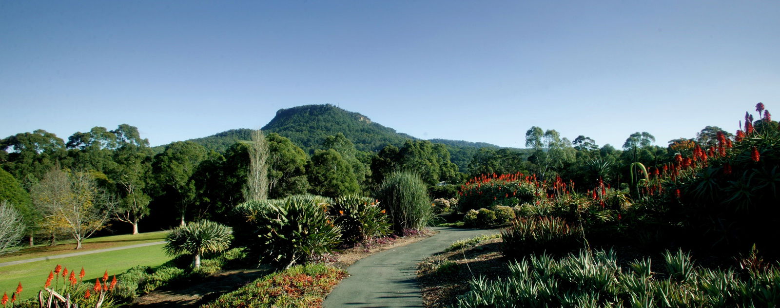 Keiraville NSW Getaway Accommodation