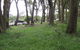 Bowral Lookout - thumb 0