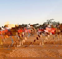 Broken Hill Camels - Getaway Accommodation