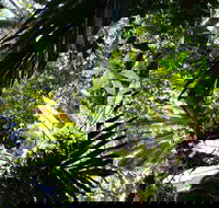 Byrrill Creek Walking Track - Getaway Accommodation