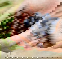 Eat Pick Grow Trail - Wanneroo and Chittering - Getaway Accommodation