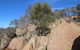 Eldorado And The Woolshed Valley - thumb 2