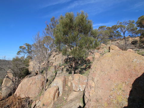 Eldorado And The Woolshed Valley - Getaway Accommodation 2