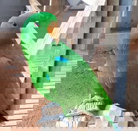 Eyre Reptile  Wildlife Park - Getaway Accommodation