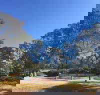 Grenfell Endemic Garden - Getaway Accommodation